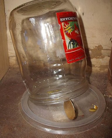 Un exemple d'un simple piège à rat couvrant.