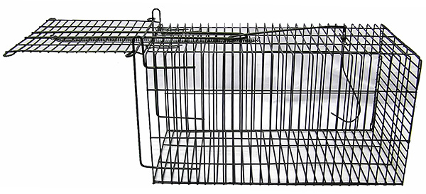 Le piège vivant sous la forme d'une cage en acier.