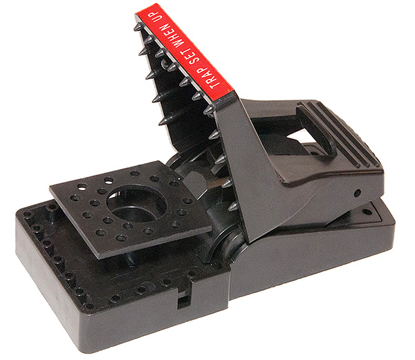 Une autre option de piège à rats