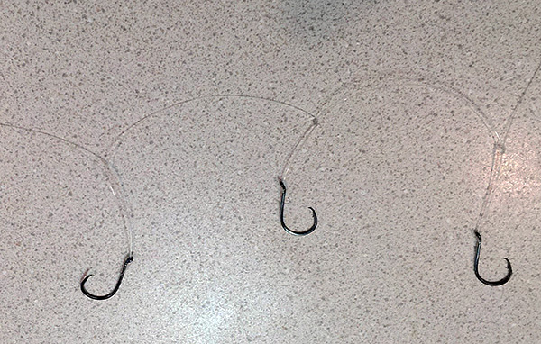 Attraper des rats avec des hameçons avec des appâts peut difficilement être considéré comme une méthode humaine de lutte contre les parasites dans la maison.