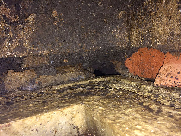 De tels déplacements ne sont pas toujours faciles à trouver, surtout s’il n’ya pas d’abondance d’excréments et de saletés jetées à proximité.