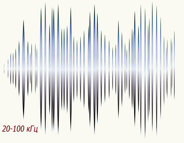 La couverture de la gamme de fréquences de 20 kHz à 100 kHz est tout à fait suffisante pour une exposition efficace aux rats et aux souris.